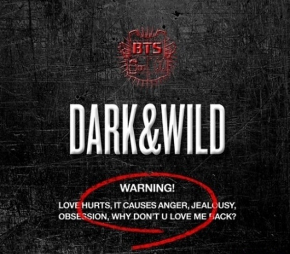 BTS Album Vol. 1 DarkWild 1